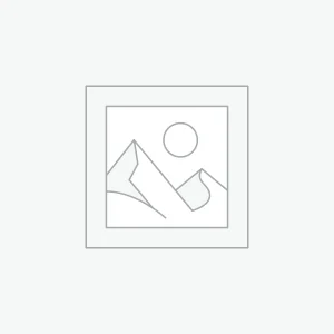 Bess Decorative Throw Pillow